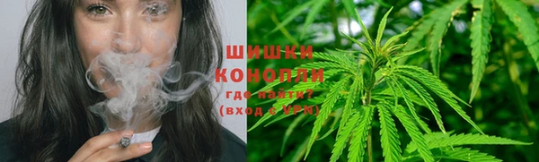 эйфоретик Вяземский