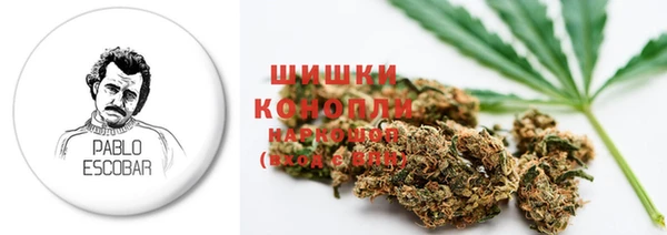 мдпв Тобольск