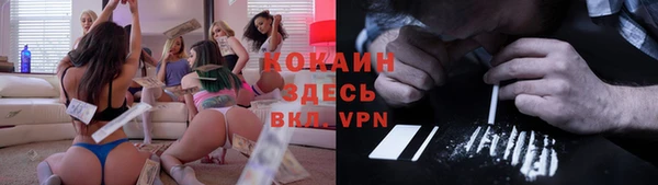эйфоретик Вяземский