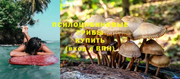 а пвп мука Вязьма